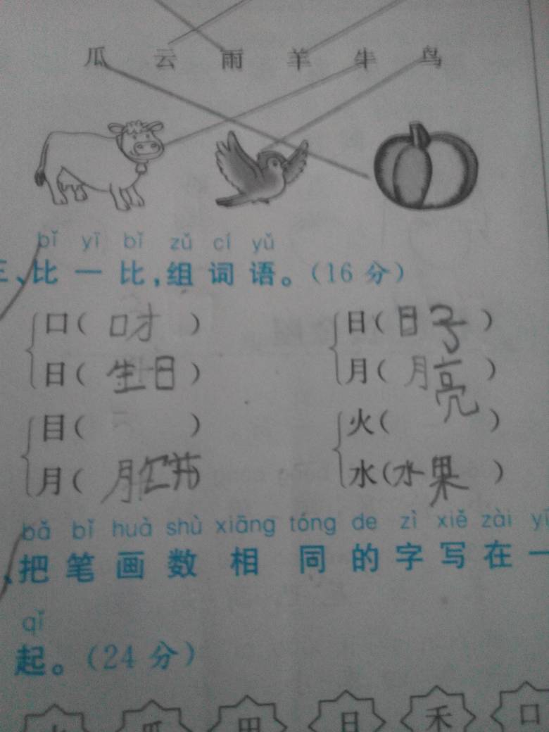 軟組詞語(yǔ)(軟可以組什么詞)