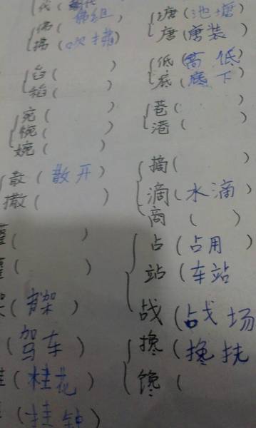 要的多音字組詞(要的多音字并組詞)