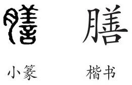 肉字組詞(什么肉組詞兩個字)