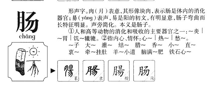 肉字組詞(肉的四字詞語(yǔ))