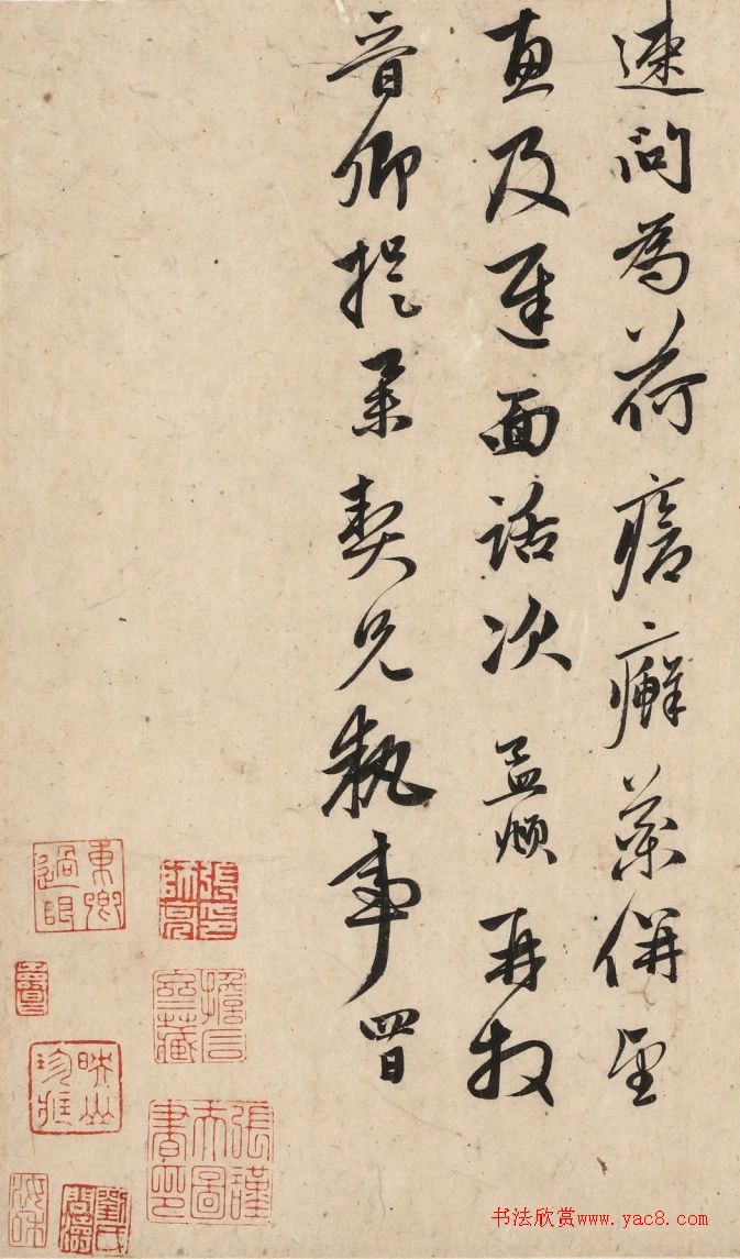 趙孟頫行草書致李晉卿枉顧帖