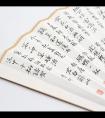 談維 小楷折扇《蘇軾詩(shī)》作品欣賞