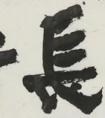 蔡夢(mèng)霞 書(shū)法《十里長(zhǎng)街客》