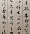 書(shū)法練習(xí) 日課 趙孟頫歸去來(lái)辭