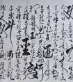 書法家苑文光作品欣賞