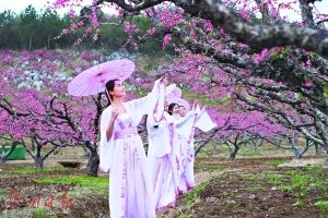 和趙連州雨中宿蒙軒韻