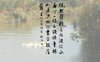 老態(tài)自遣