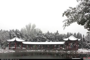 郡中對(duì)雪