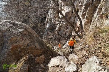 嵩山十二首·一峻極寺