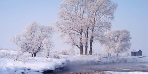 南鄉(xiāng)子·冰雪透香肌