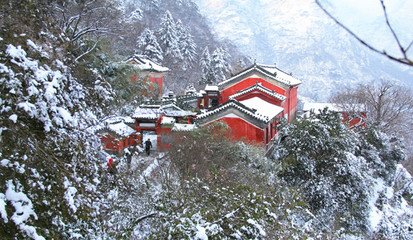 太常引 次韻伯陽雪中