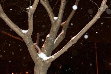 春夜喜雪有懷王二十二