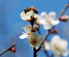 立春前後連日風(fēng)雨