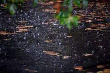 秋雨漸涼有懷興元