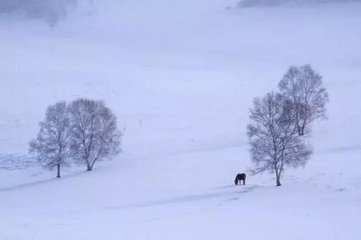 道院雜興