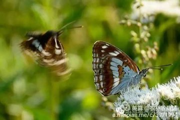 蝶戀花·天色沈沈云色赭