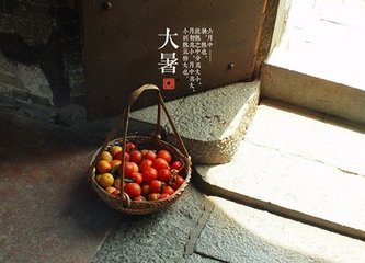 毒熱寄簡(jiǎn)崔評(píng)事十六弟