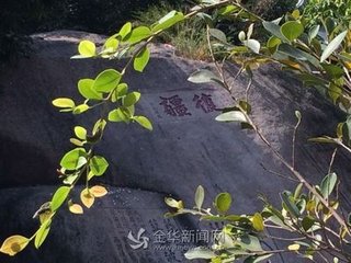 祠祿滿不敢復(fù)請作口號