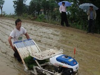 巴東遇小雨