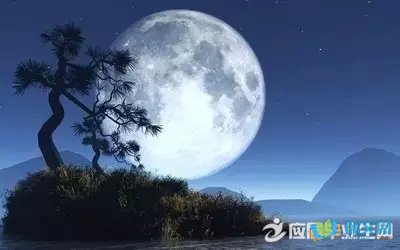 秋夜獨(dú)坐懷故山