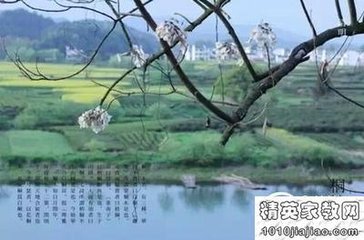 采桑子·清明上巳西湖好