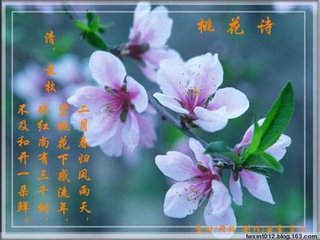 王母祝語·蟠桃花詩