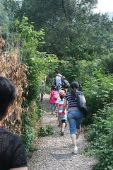 登陽山妙凈院