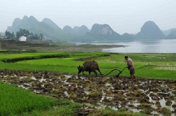 龍華山寺寓居十首