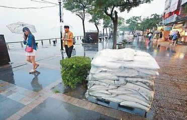 夜大風(fēng)明日視新竹無(wú)恙