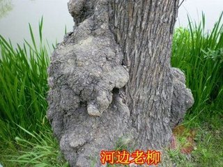 送陳糾