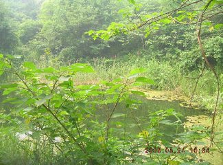 陪江西裴公游襄州延慶寺