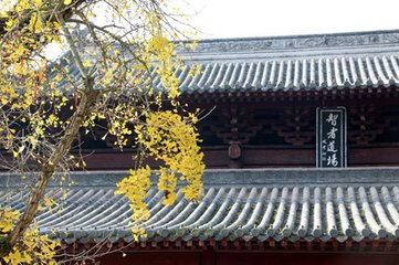 送休上人之荊門(mén)玉泉寺