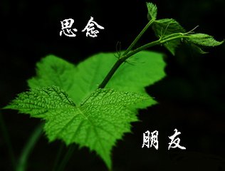 贈樂天