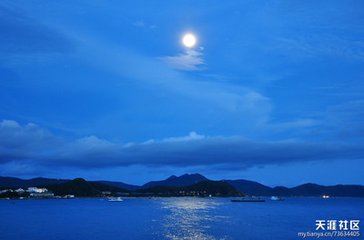 西平樂·夜色娟娟皎月