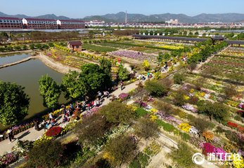 純甫以予去歲九日赴東陽今年復(fù)趨府作菊花問