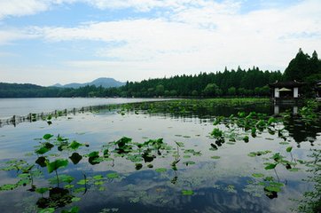 暮春泛西湖次口號韻呈程待制十首