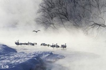 冬晚對(duì)雪憶胡居士家（一作王劭詩(shī)，非）