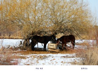 早春殘雪