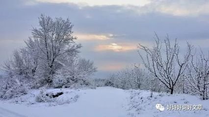 依韻奉和司徒侍中春雪