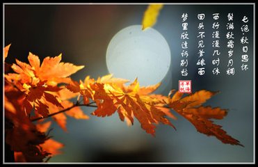 秋日陪陸校書(shū)游玉泉