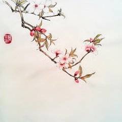 菩薩蠻（杏花）