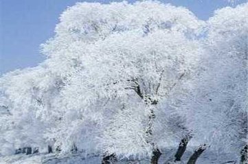 大雪青州道上有懷東武園亭寄交孔周翰