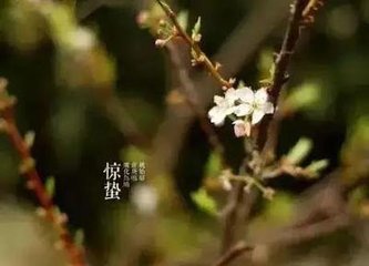 驚蟄后雪訪徐孟堅(jiān)不遇坐待甚久