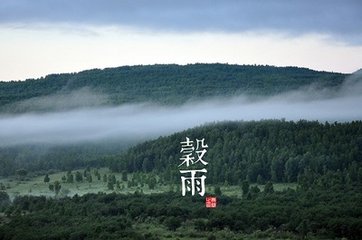 寄題縱上人院