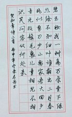 挈累來(lái)當(dāng)涂聞已入境感懷有作二首