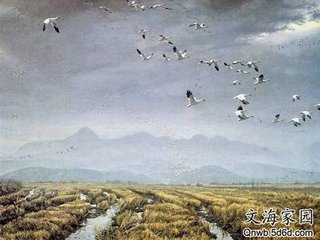 阮郎歸·落花浮水樹(shù)臨池