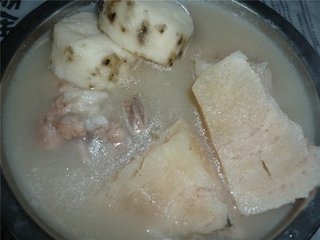 萬(wàn)葛樹