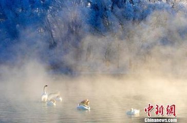 猷川雪后送僧粲臨還京，時(shí)避世臥疾