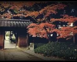 立秋后十日風(fēng)雨凄冷獨(dú)居有感