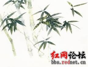 郡齋左偏栽竹百余竿，炎涼已周，青翠不改，